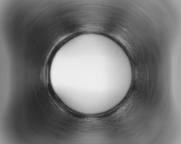 X0000095931123200802081211