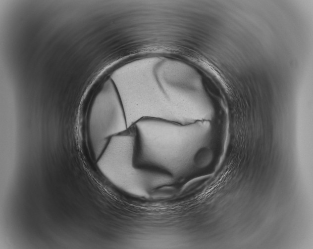 X0000095931124200802081211