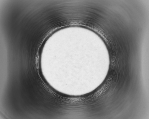 X0000095931126200802081211