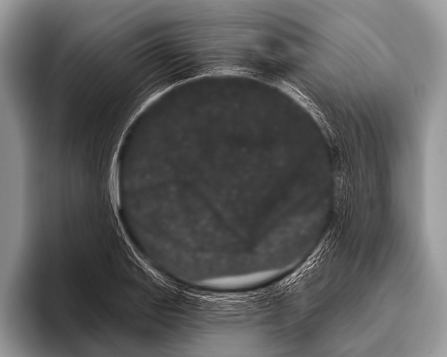 X0000095931127200802081211