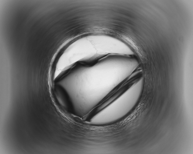 X0000095931128200802081211