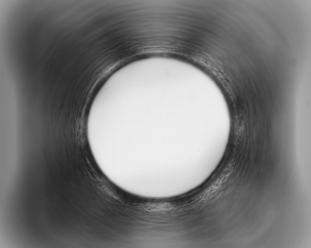 X0000095931129200802081211