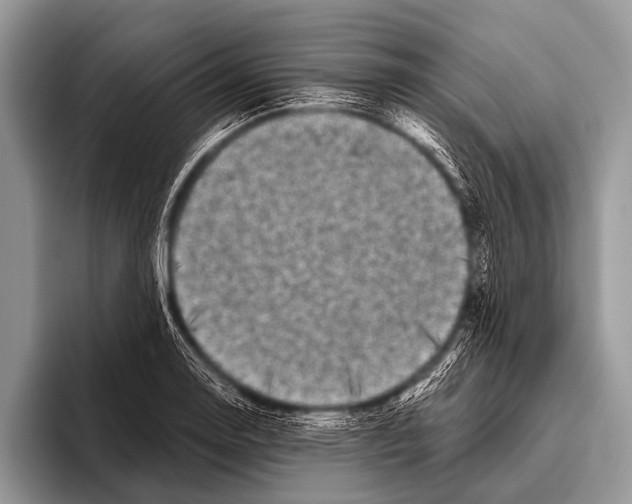 X0000095931130200802081211