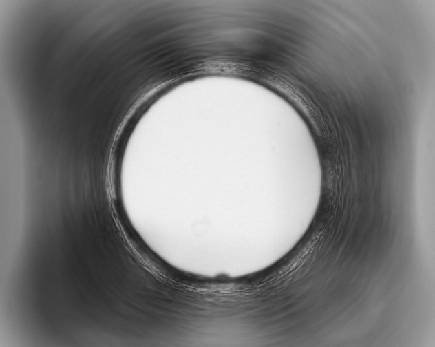 X0000095931131200802081211