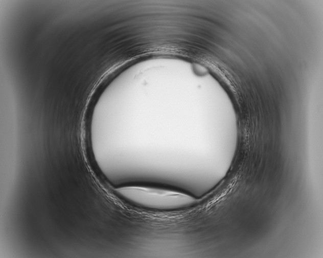 X0000095931133200802081211