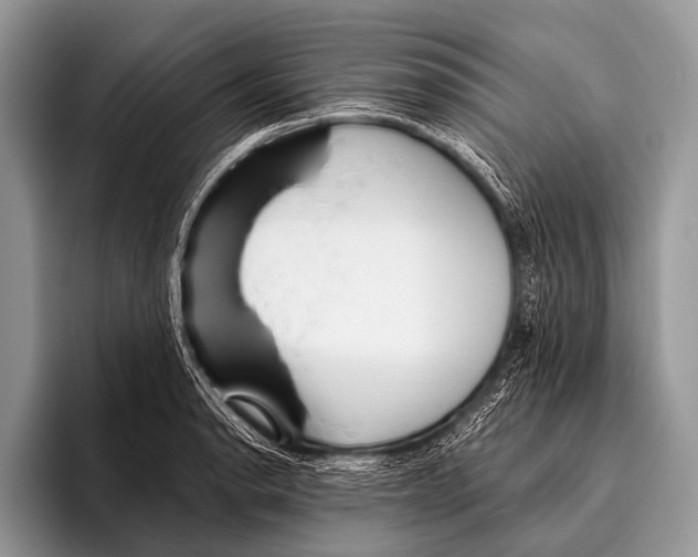 X0000095931134200802081211
