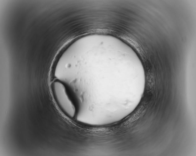 X0000095931135200802081211