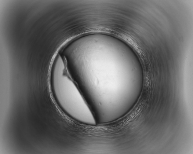 X0000095931136200802081211