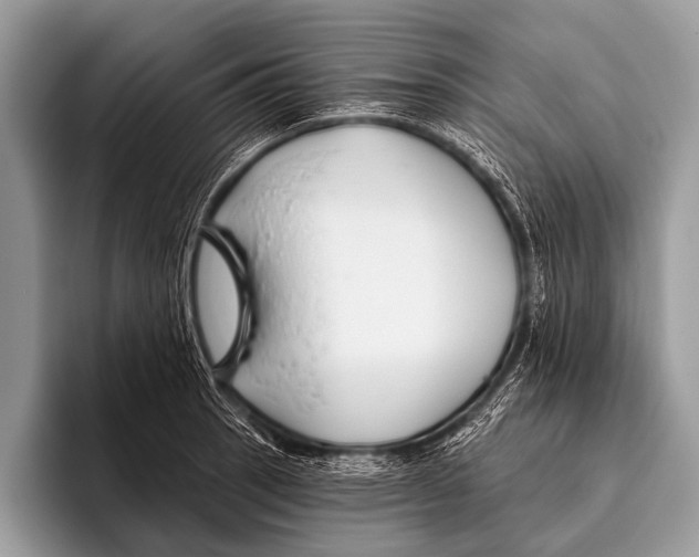 X0000095931137200802081211