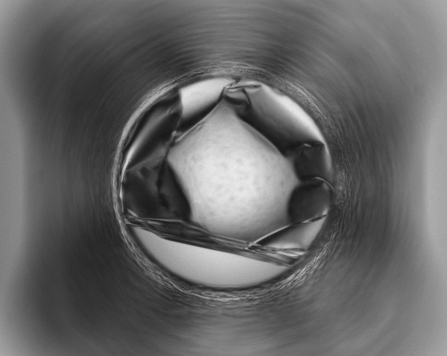 X0000095931138200802081211