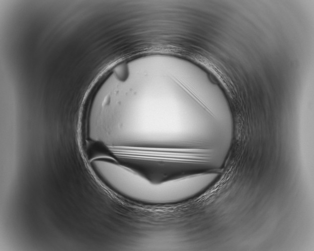 X0000095931139200802081211