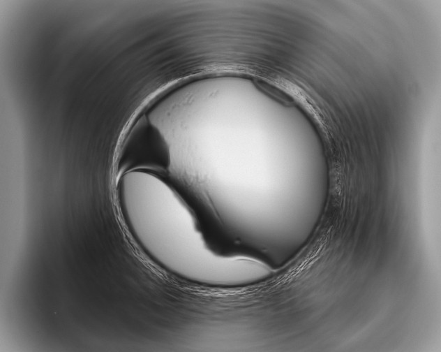 X0000095931140200802081211