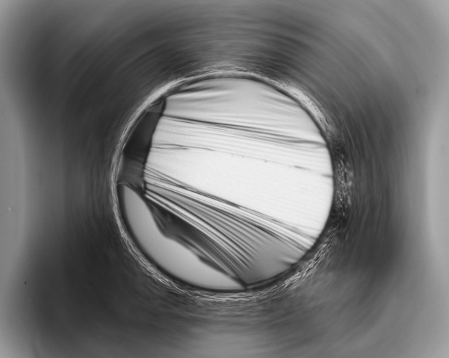 X0000095931142200802081211