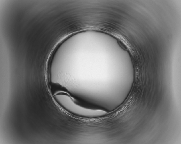X0000095931143200802081211