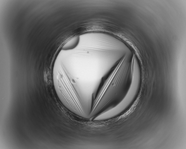 X0000095931145200802081211