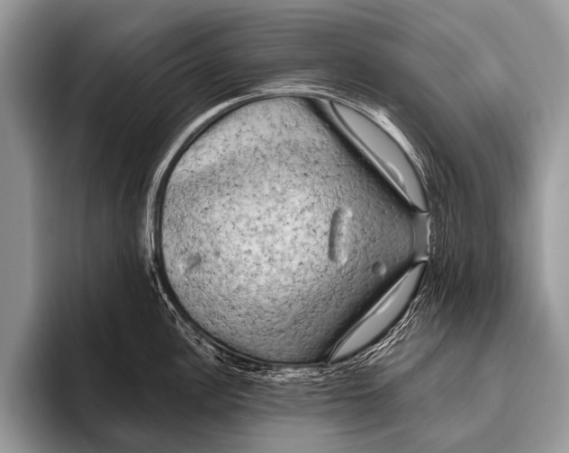 X0000095931148200802081211