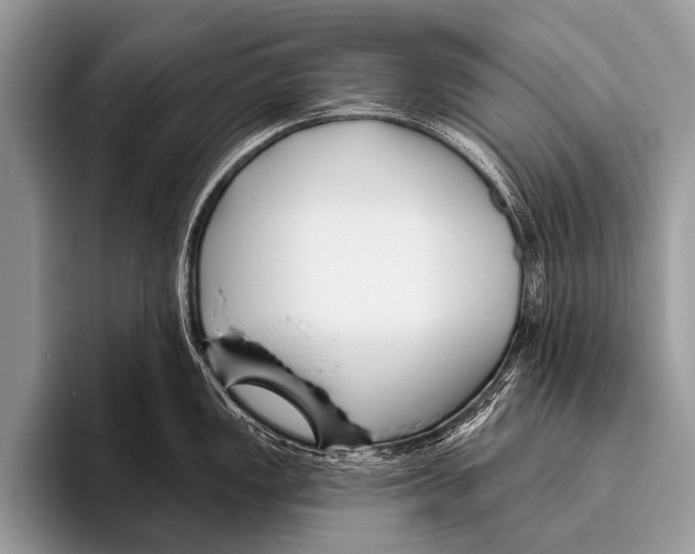 X0000095931149200802081211