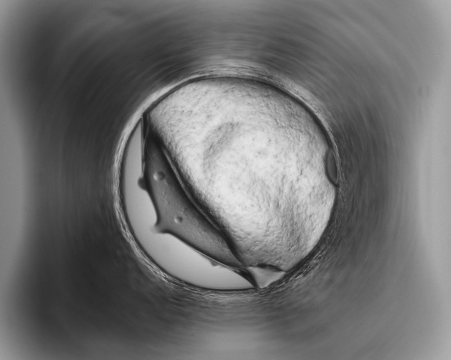 X0000095931152200802081211