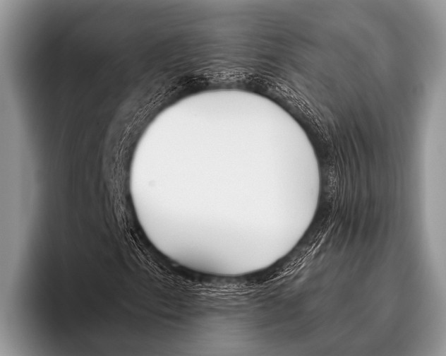 X0000095931153200802081211