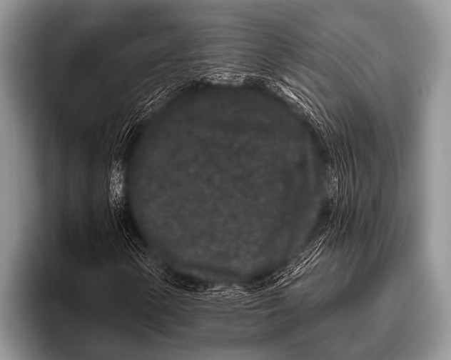 X0000095931154200802081211