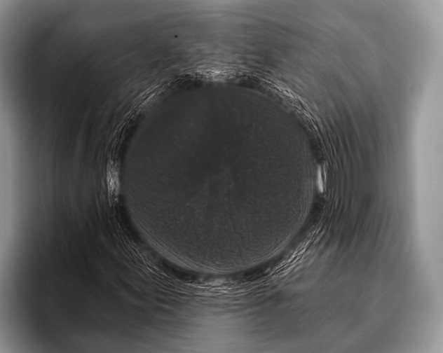 X0000095931155200802081211