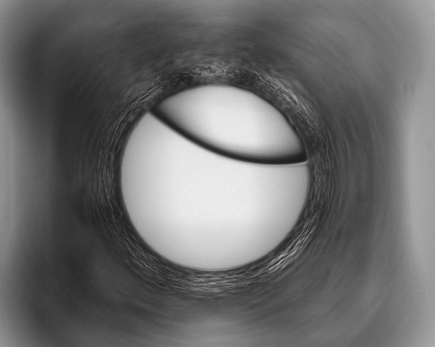 X0000095931156200802081211