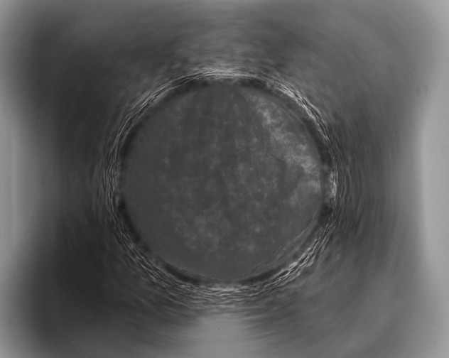 X0000095931157200802081211