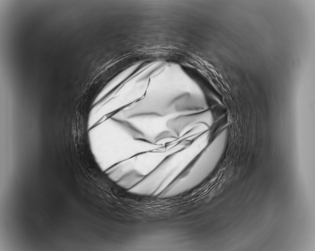 X0000095931158200802081211