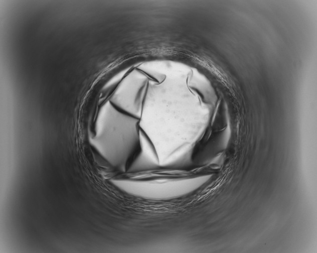 X0000095931160200802081211