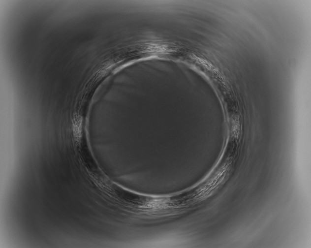 X0000095931161200802081211