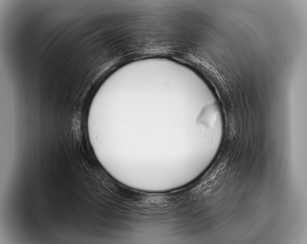 X0000095931162200802081211
