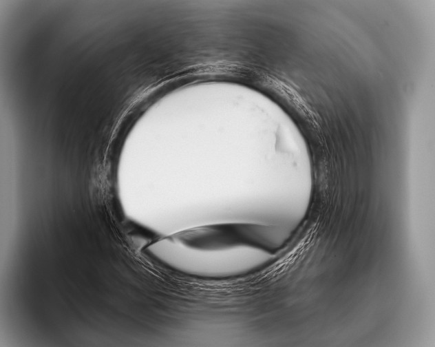 X0000095931164200802081211