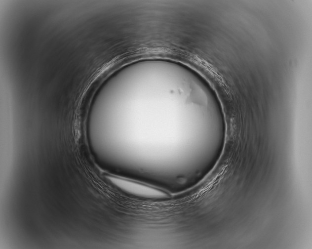 X0000095931165200802081211