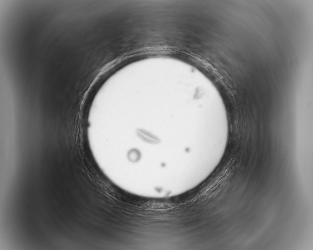 X0000095931168200802081211