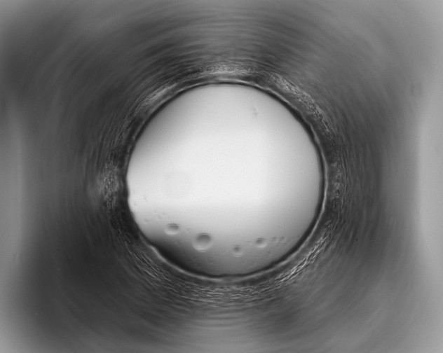 X0000095931169200802081210