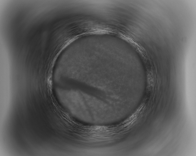 X0000095931170200802081210