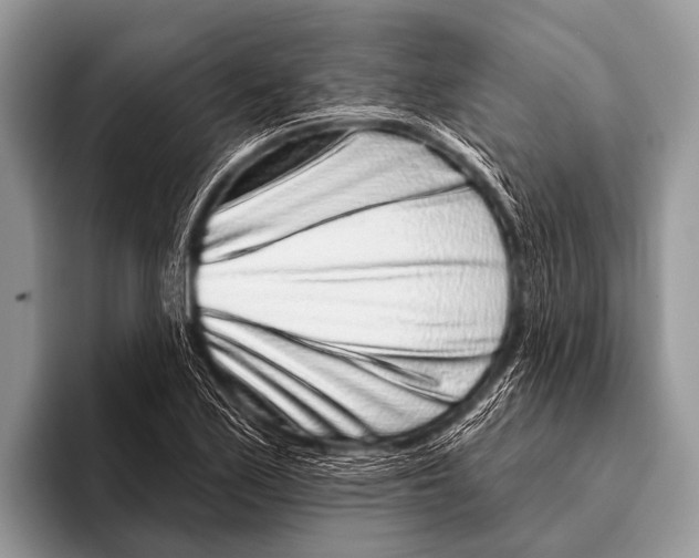 X0000095931171200802081210