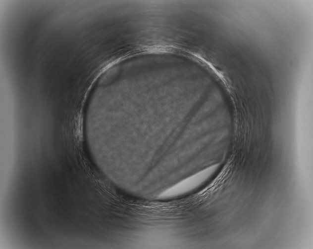 X0000095931174200802081210