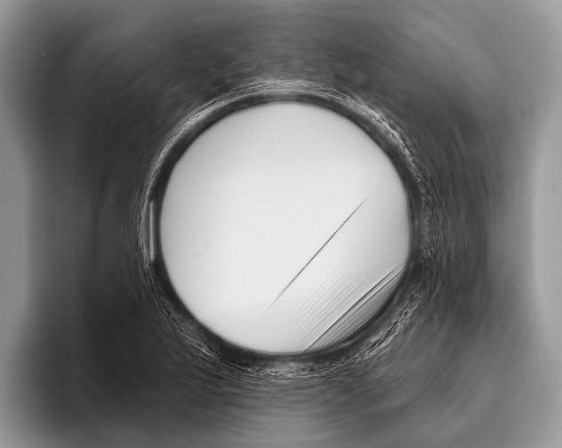 X0000095931175200802081210