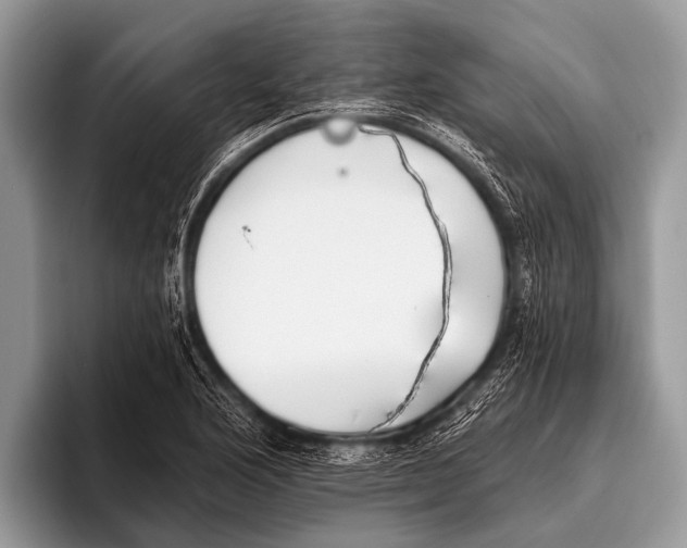 X0000095931176200802081210