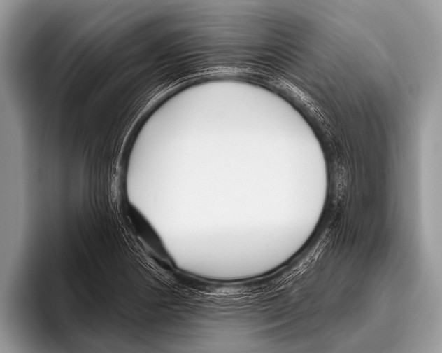 X0000095931178200802081210