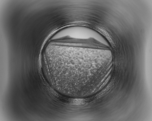 X0000095931180200802081210