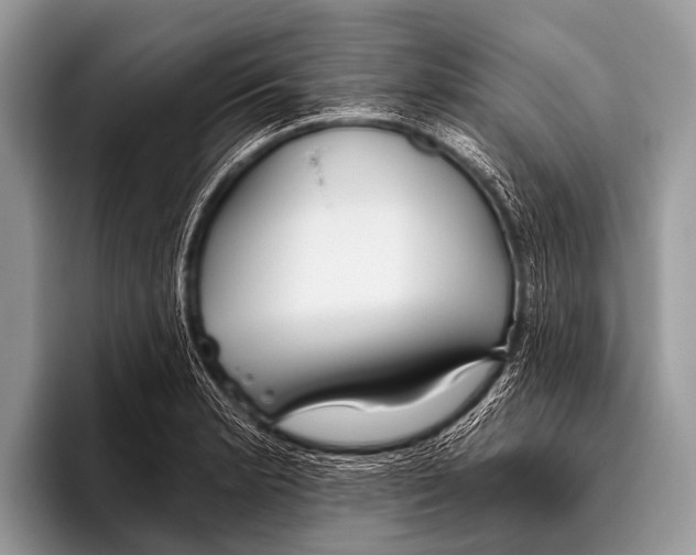 X0000095931181200802081210