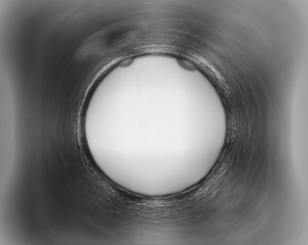 X0000095931182200802081210