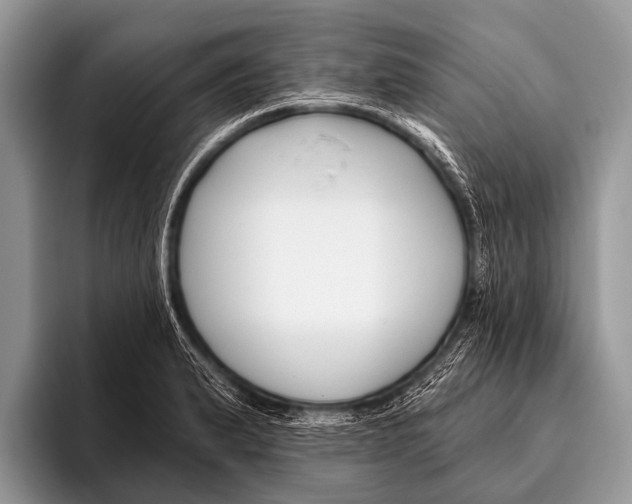 X0000095931183200802081210