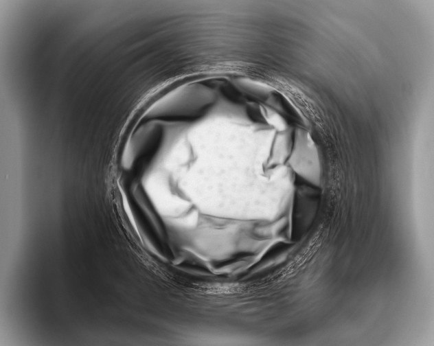 X0000095931184200802081210