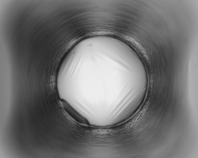 X0000095931185200802081210