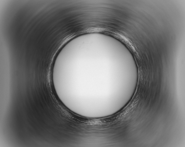 X0000095931186200802081210