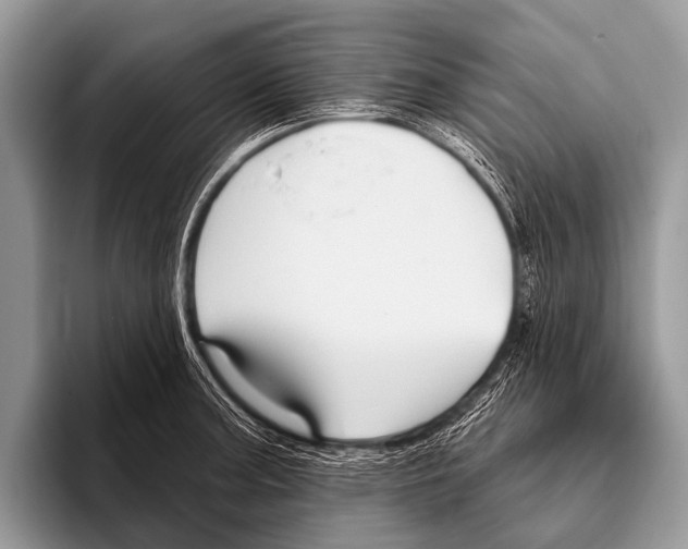 X0000095931187200802081210