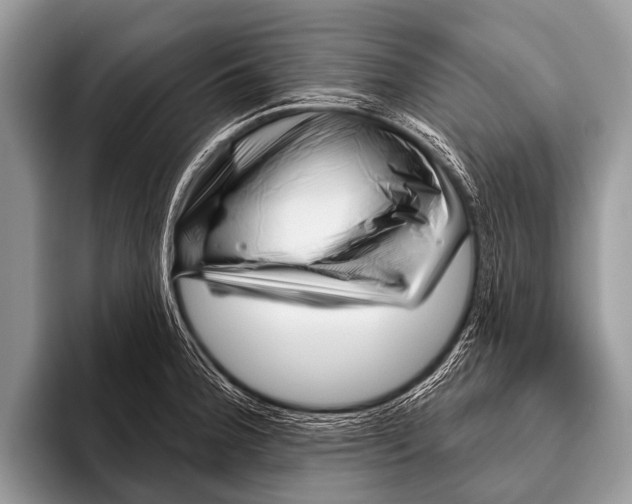 X0000095931188200802081210